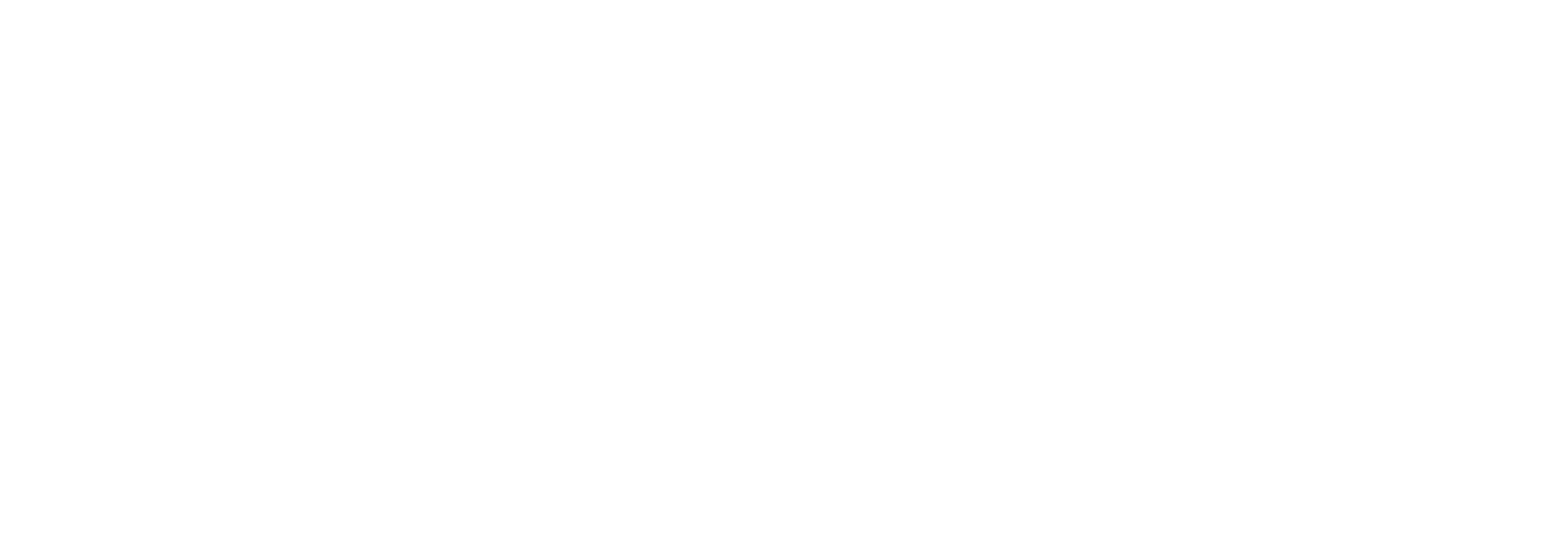 Paulo Leonardo - Digital Strategy & AI